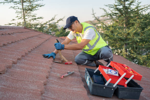 Best Storm Damage Roof Repair  in Columbiana, AL