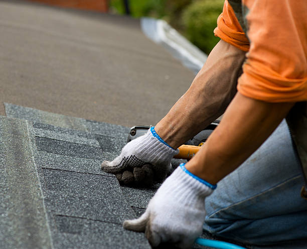 Best Roof Gutter Cleaning  in Columbiana, AL