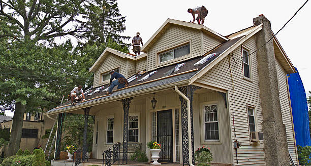 Best Metal Roofing Contractor  in Columbiana, AL