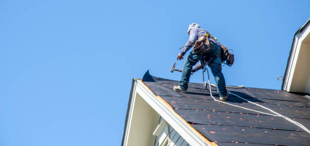 Best Gutter Installation and Roofing  in Columbiana, AL